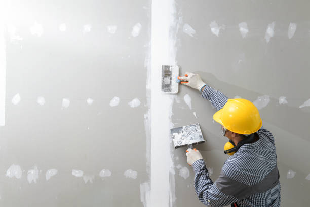 Best Environmental Consulting for Mold Prevention  in Arden Hills, MN