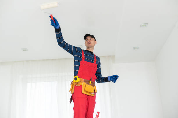 Trusted Arden Hills, MN Mold Removal Experts