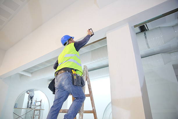 Best Mold Documentation for Insurance Claims  in Arden Hills, MN